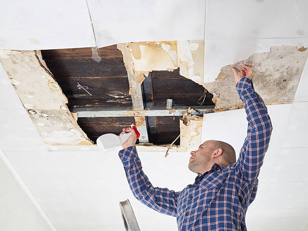 Best Industrial Mold Remediation  in Jeffersontown, KY